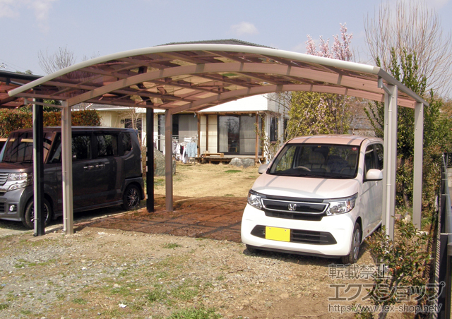 群馬県藤岡市ののカーポート レイナツインポートグラン　積雪〜20cm対応 施工例