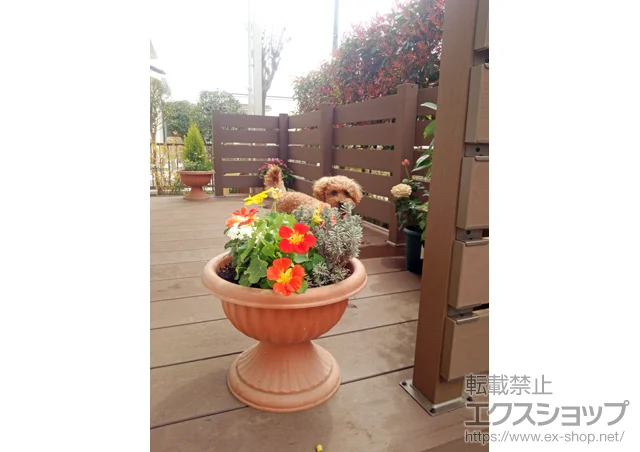 �����s���c�s��YKKAP�̃E�b�h�f�b�L ���E�b�h�f�b�L 200�{���E�b�h�f�b�L�t�F���X3�^<���X���b�g> �{�H��