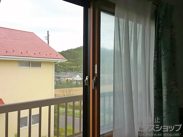 ���������킫�s�̂̓����i��d���E��d�T�b�V�j �C���v���X(�_�X�g�o���A)�����Ⴂ��2������ �{�H��