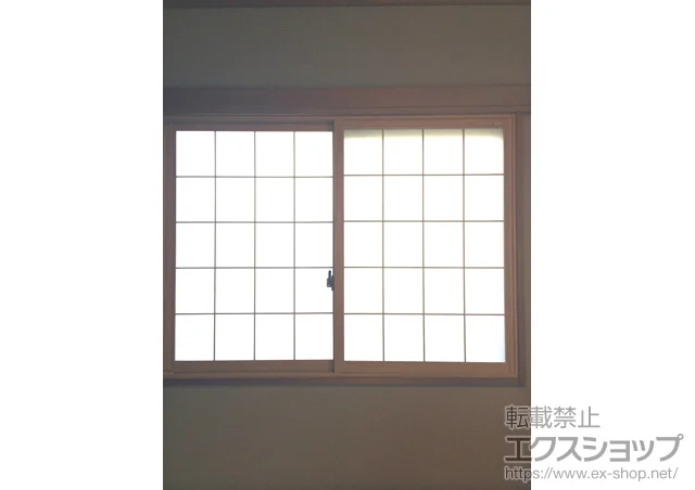 {錧ŝ̓idEdTbVj CvX _XgoAdl Ⴂ 2 {H