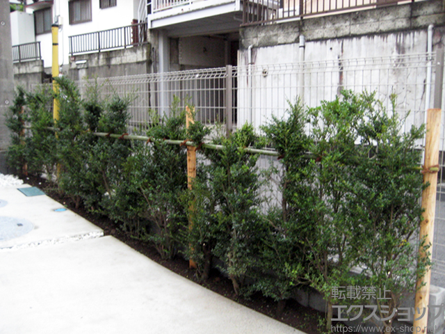 埼玉県川口市のLIXIL リクシル(新日軽)のフェンス・柵 メッシュマイアミフェンス8A型 自在柱式 施工例