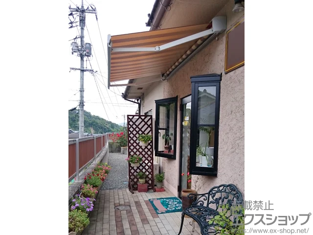 L{sLIXIL NVigXej̃I[jOETVF[hE悯 yzʕS^ 蓮 {H