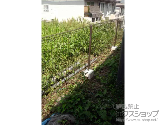 {錧sValue Select̃tFXEE nCObhtFXUF8^ t[|[^Cv {H