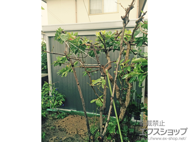 岡山県岡山市のの物置・屋外倉庫 ネクスタ 一般型(NXN-40S) 施工例