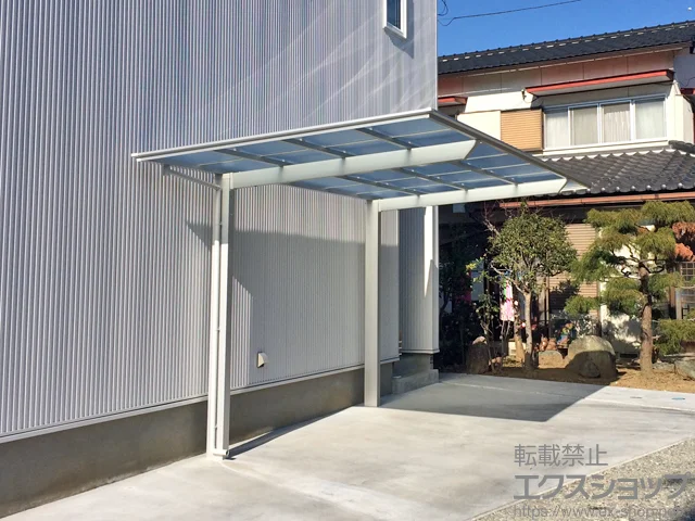 Rb{sLIXIL(NV)̃J[|[g t[SF (tbgX^C) ϐ`20cmΉ {H