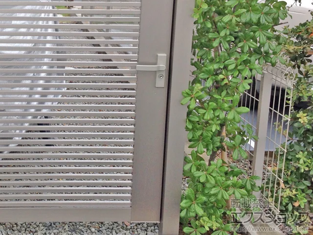 Ɍ_ˎŝ̃tFXEEA nCObhtFXUF8^ t[|[^Cv {H