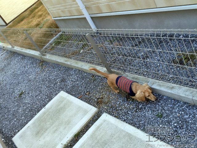 千葉県野田市ののフェンス・柵 イーネットフェンス2F型 自由柱タイプ 施工例