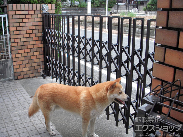 群馬県高崎市ののカーゲート トリップゲート ペットガード型 ノンレール 片開き 33S 施工例