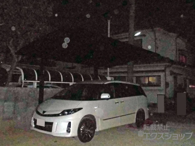 ���Ɍ����ÌS������̂̃J�[�|�[�g ���C�i�|�[�g�O�����@�ϐ�`20cm�Ή� �{�H��