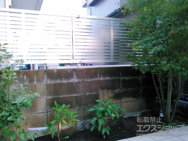 sOsYKKAP̕uE[EOq GNXCtFX 5^ R{H {H