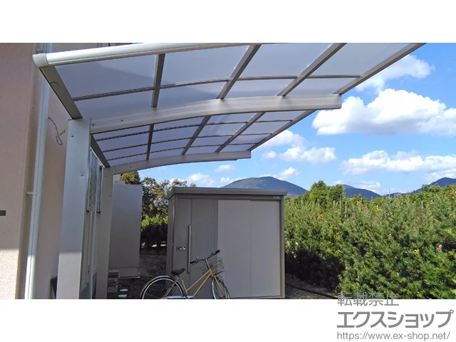 �a�̎R���L�c�S�L�c�쒬��Value Select�̃J�[�|�[�g �v���V�I�X�|�[�g �ϐ�`20cm�Ή� �{�H��