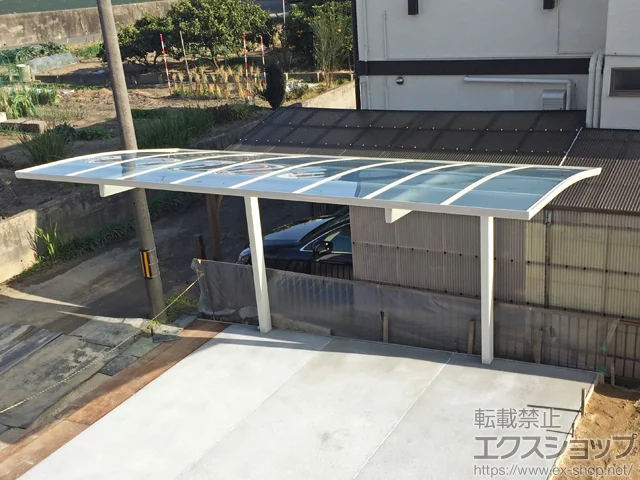 mmsYKKAP̃J[|[g Ci|[gO@ϐ`20cmΉ {H