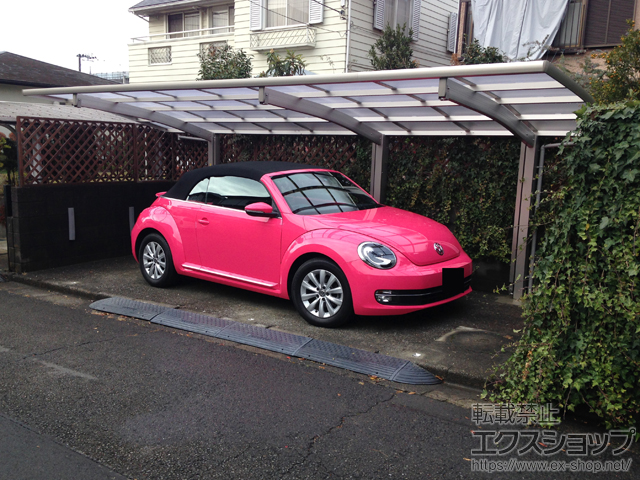 神奈川県川崎市ののカーポート レイナポートグラン 延長　積雪〜20cm対応＋着脱式サポート 標準・ハイルーフ兼用 施工例