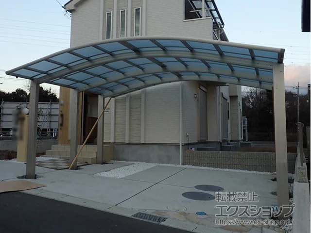 ÉsYKKAP̃J[|[g CicC|[gO50 ϐ50cmΉ {H