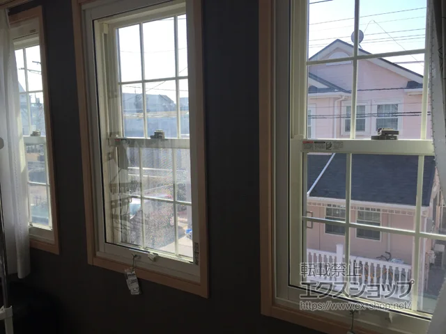 ��t�����R�s�̂̓����i��d���E��d�T�b�V�j �C���v���X �_�X�g�o���A�d�l ���Ⴂ�� 2���� �{�H��