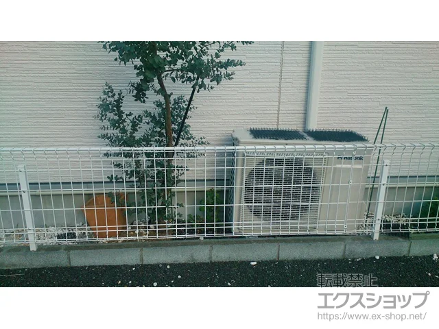 �����s�k��̎O���A���~�̃t�F���X�E��E�� �����b�V��Z�^ �t���[�x���^�C�v �{�H��