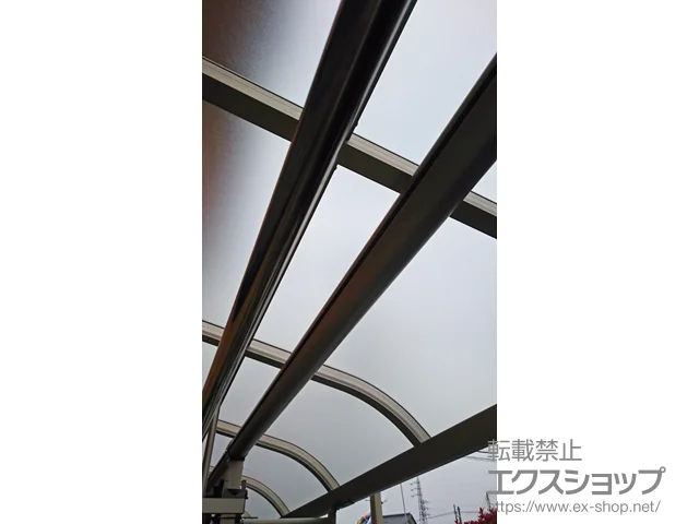錧OYStRLIXIL NVigXej̃eX vVIXeX R^ eX^Cv A@ϐ`20cmΉ {H