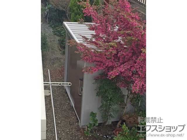 _ސ쌧ɐs̃hRE̕uE[EOq G ʌ^iLMD-2215-MRj {H