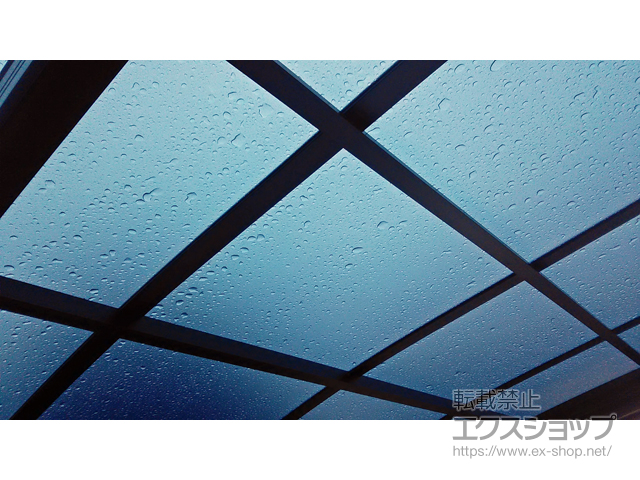 埼玉県飯能市ののカーポート プレシオスポート 積雪〜20cm対応 施工例