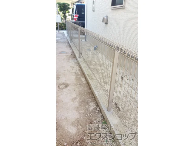 F{F{s̐ϐ(ZLXC)̃tFXEE bVtFX G10 R {H