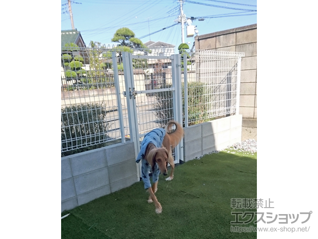 群馬県伊勢崎市のの門扉 メッシュフェンスG10 門扉 片開き 柱使用 施工例