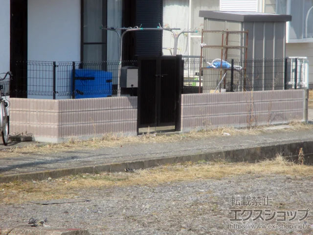 錧~SYLIXIL NV(TOEX)̃tFXEE nCObhtFXUF8^ t[|[^Cv {H