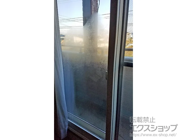 茧Ԋŝ̓idEdTbVj CvX _XgoAdl Ⴂ 2 {H