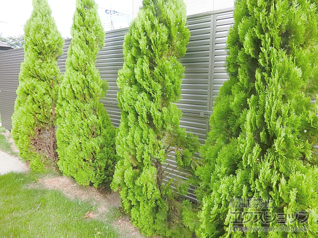 茨城県常総市ののフェンス・柵 ミエーネフェンス 目隠しルーバータイプ　※柱別途 施工例