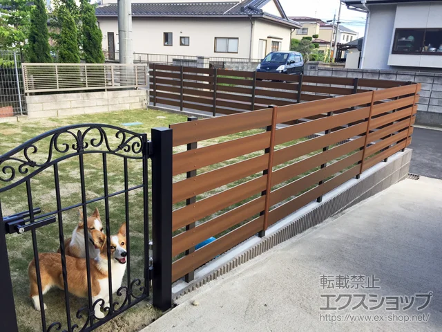 �{�錧�Ί��s��FandF�̃t�F���X�E��E�� �}�C�e�B�E�b�h �f�R 6�i���� ����40mm �{�H��