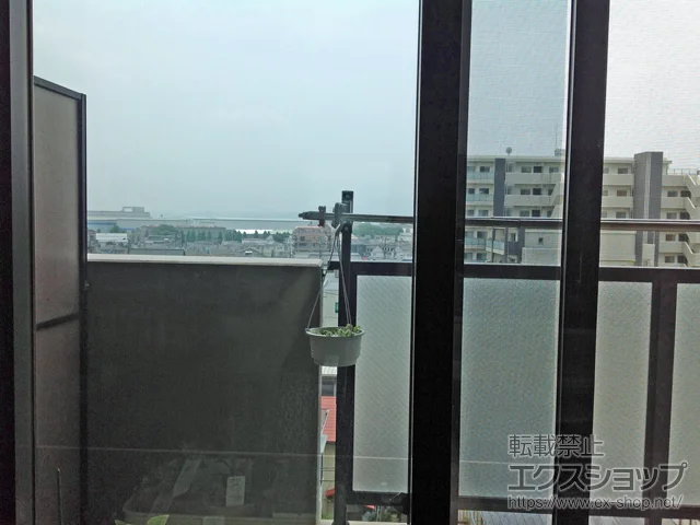 _ސ쌧͌ŝ̓idEdTbVj CvX _XgoAdl Ⴂ 2 {H