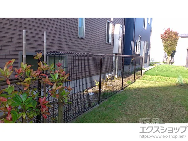 Vs̎OA~̃tFXEE bVR^ t[x^Cv {H