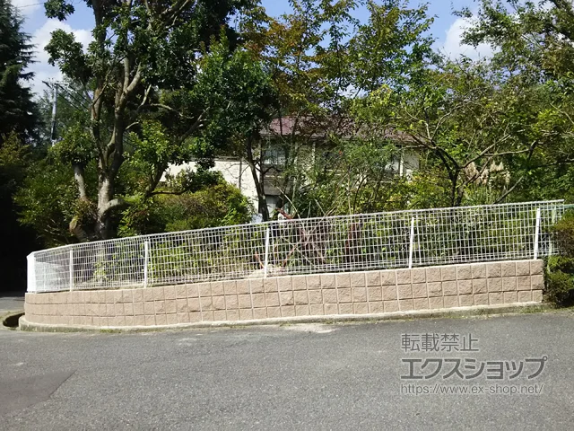 ���Ɍ��_�ˎs�̎O���A���~�̃t�F���X�E��E�� �����b�V��Z�^ �X�Ηp�t���[�x���^�C�v �{�H��