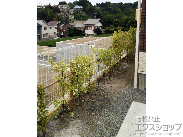 静岡県静岡市ののフェンス・柵 イーネットフェンス1F型 自由柱タイプ 施工例