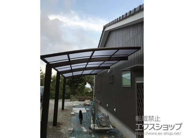 ÉsYKKAP̃J[|[g Ci|[gO @ϐ`20cmΉ {H