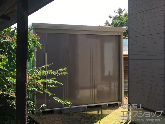 VVs̃^N{̕uE[EOq Mr.XgbN}_fB ^(D-S2515) {H