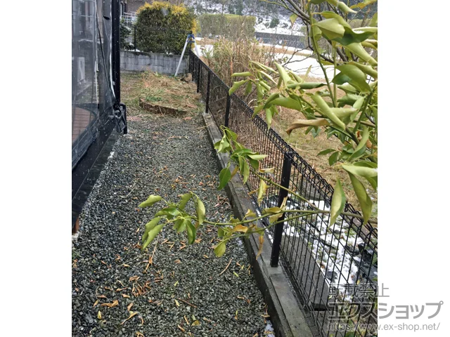 {L\SL\̐ϐ(ZLXC)̃tFXEE bVtFXG10-R R {H