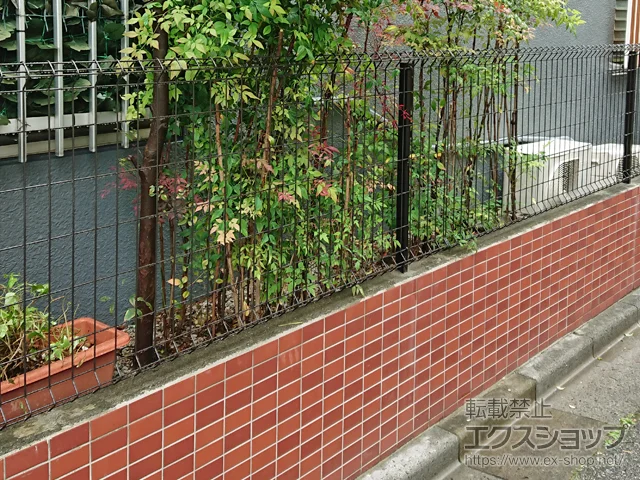 sYKKAP̃tFXEE C[lbgtFX1F^ R{H {H