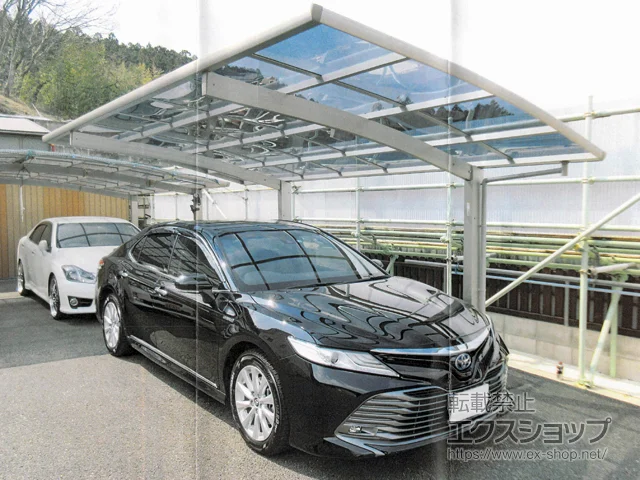 �{�錧�Ί��s��Value Select�̃J�[�|�[�g �v���V�I�X�|�[�g �ϐ�`20cm�Ή� �{�H��