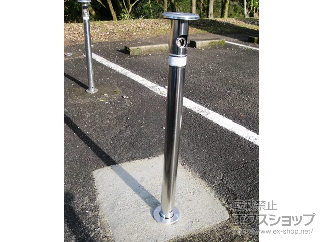 �{�茧�����S�؏钬��LIXIL(���N�V��)�̃J�[�Q�[�g �X�y�[�X�K�[�h�i�Ԏ~�߁jF48�^ ������ �L�[�t�� �{�H��