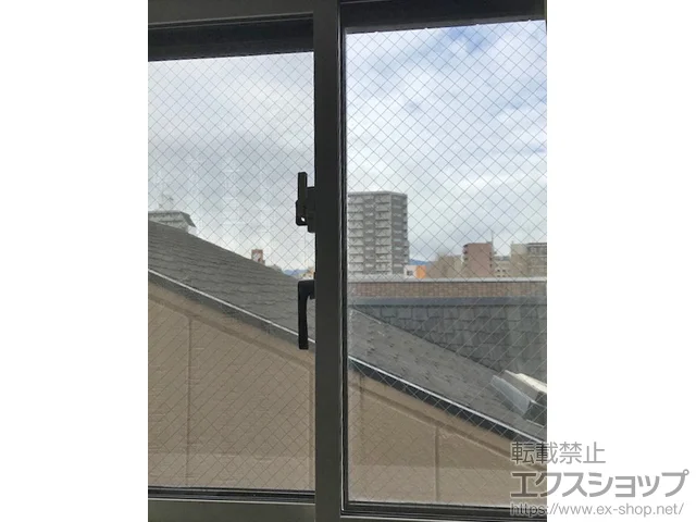 sqŝ̓idEdTbVj CvX _XgoAdl Ⴂ 2 {H