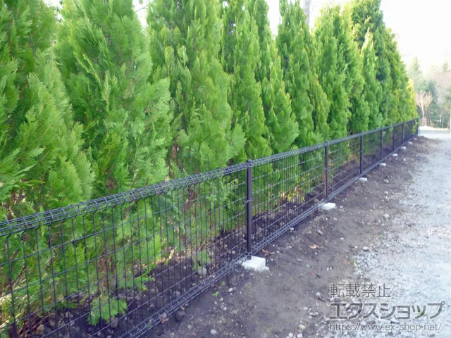 쌧kvSy򒬂̐ϐ(ZLXC)̃tFXEE bVtFX M0 Œ蒌^Cv {H