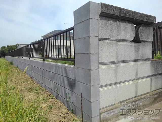 ʌ{sValue Select̃tFXEE ~Gb^tFX hƂĊiq^Cv R{H {H