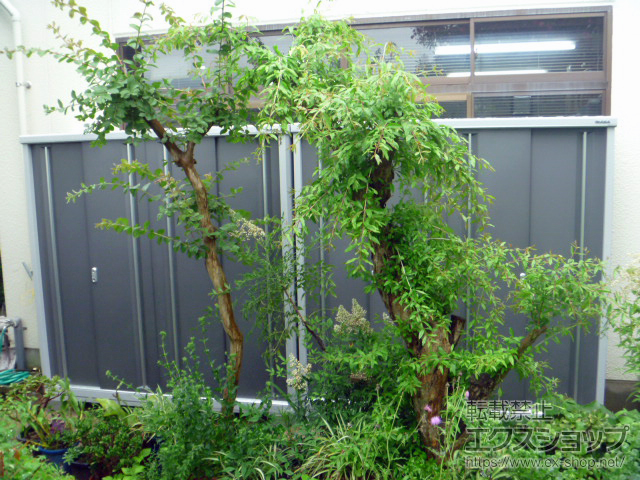 広島県広島市のの物置・屋外倉庫 シンプリー 一般型 1940×515×1903 MJX-195E-PG 施工例