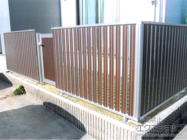 Qnɐŝ̃tFXEEA VAXtFXF03^ ĔډB J[ R{H {H