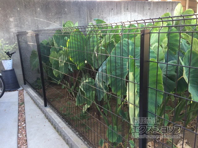 ��t�������s��YKKAP�̃t�F���X�E��E�� �C�[�l�b�g�t�F���X2F�^ ���R���{�H �{�H��