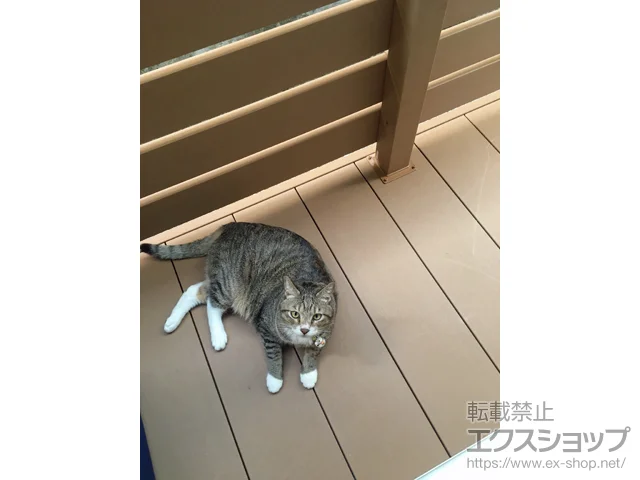 sqsYKKAP̃EbhfbL EbhfbL 200 {H