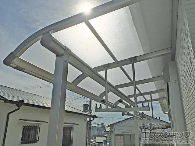 Ɍ_ˎŝ̃oRj[Ex_ vVIXeX R^ ^Cv P ϐ`20cmΉ {H