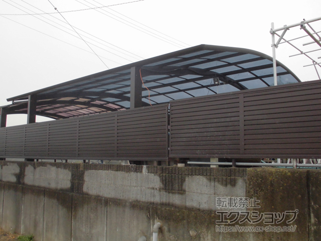 岐阜県安八郡輪之内町ののカーポート レイナツインポートグランZ　積雪〜20cm対応 施工例