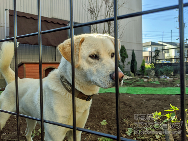 茨城県土浦市ののフェンス・柵 イーネットフェンス1F型 自由柱タイプ 施工例