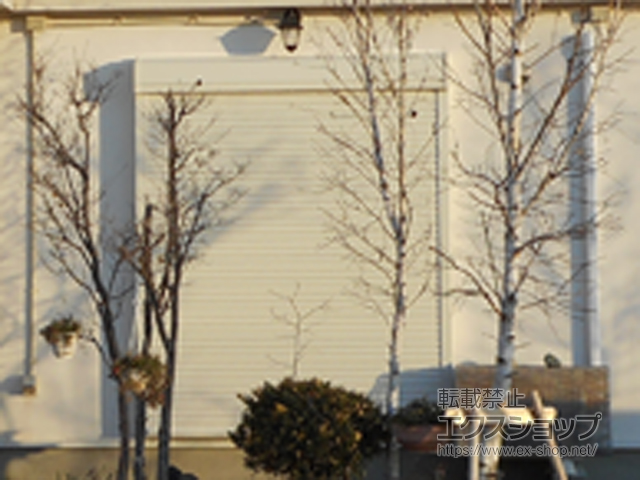 山梨県南アルプス市のLIXIL リクシル（トステム）の窓シャッター 【特注】リフォームシャッター 手動式 耐風タイプ 施工例